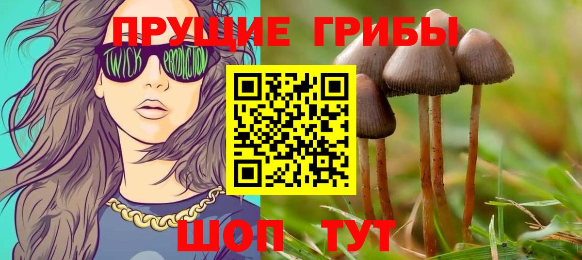 Псилоцибиновые грибы прущие грибы Волхов