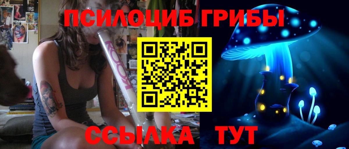 Псилоцибиновые грибы Cubensis  купить закладку  Волхов  Псилоцибиновые грибы Psilocybe  Вход с VPN 